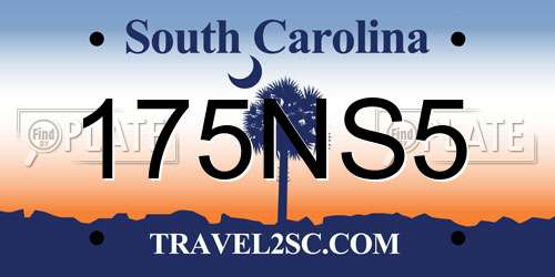 175NS5 South Carolina License Plate