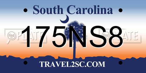 175NS8 South Carolina License Plate