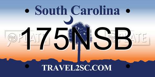 175NSB South Carolina License Plate