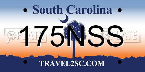 175NSS South Carolina License Plate