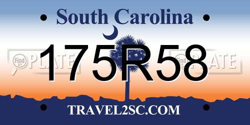 175R58 South Carolina License Plate