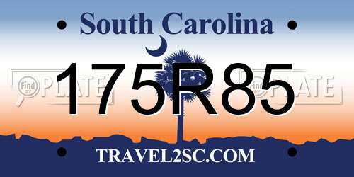 175R85 South Carolina License Plate