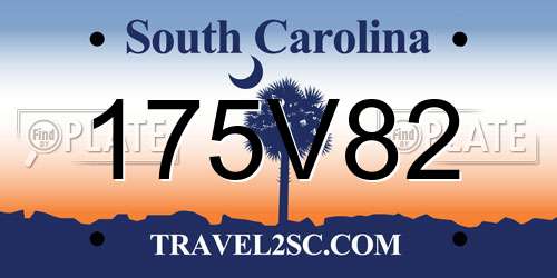 175V82 South Carolina License Plate