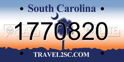 1770820 South Carolina License Plate