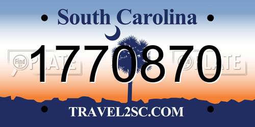 1770870 South Carolina License Plate