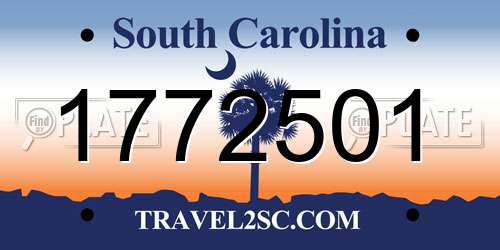 1772501 South Carolina License Plate