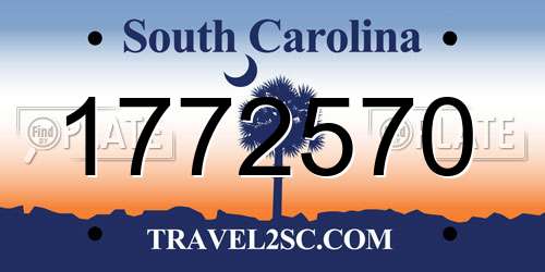 1772570 South Carolina License Plate