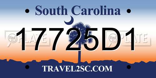 17725D1 South Carolina License Plate