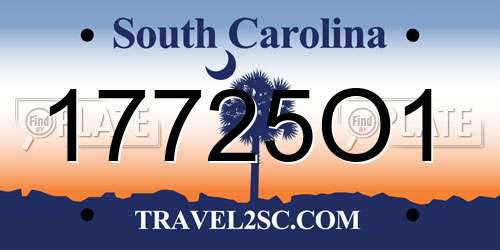 17725O1 South Carolina License Plate