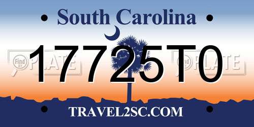 17725T0 South Carolina License Plate