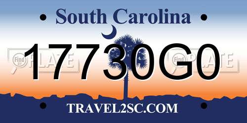 17730G0 South Carolina License Plate