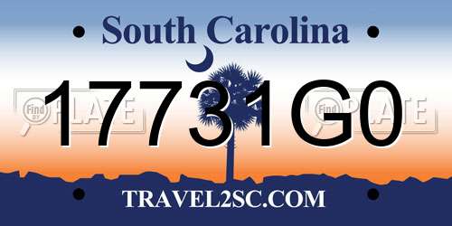 17731G0 South Carolina License Plate