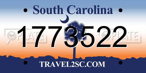 1773522 South Carolina License Plate