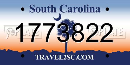 1773822 South Carolina License Plate