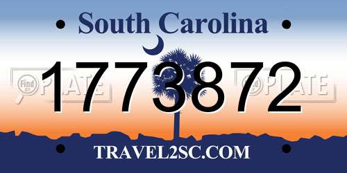 1773872 South Carolina License Plate