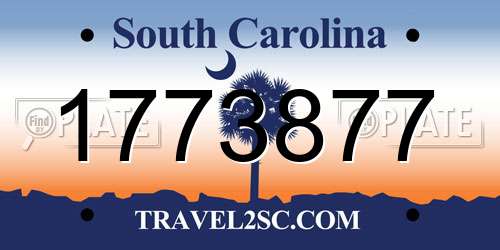 1773877 South Carolina License Plate