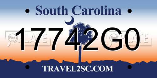 17742G0 South Carolina License Plate