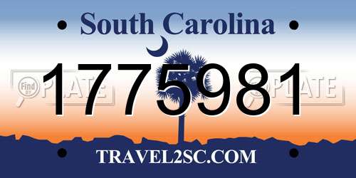 1775981 South Carolina License Plate