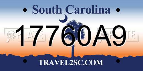 17760A9 South Carolina License Plate