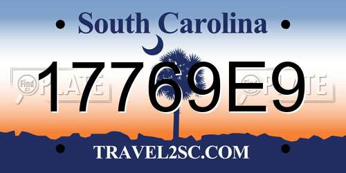 17769E9 South Carolina License Plate