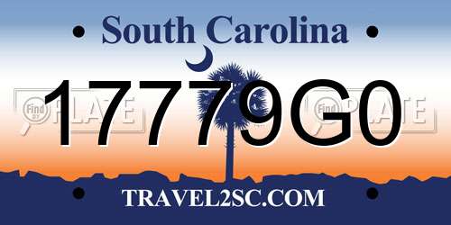 17779G0 South Carolina License Plate