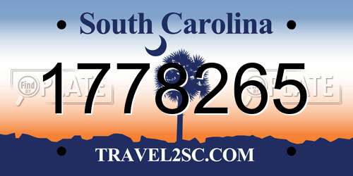 1778265 South Carolina License Plate