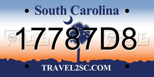 17787D8 South Carolina License Plate