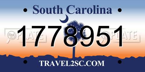 1778951 South Carolina License Plate