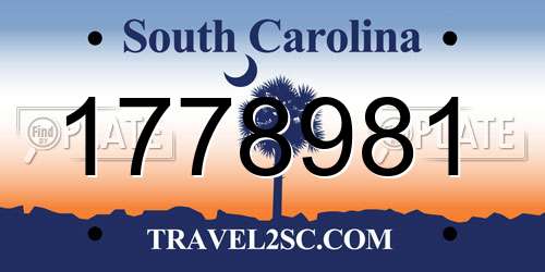 1778981 South Carolina License Plate