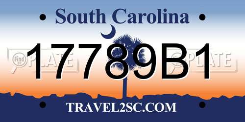 17789B1 South Carolina License Plate