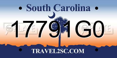 17791G0 South Carolina License Plate