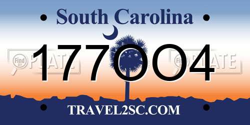 177OO4 South Carolina License Plate