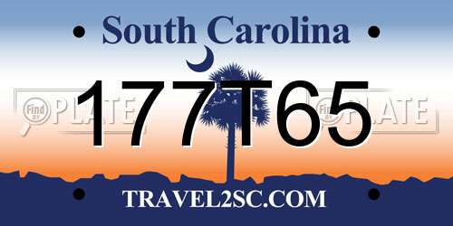 177T65 South Carolina License Plate