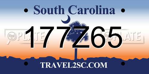 177Z65 South Carolina License Plate