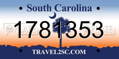1781353 South Carolina License Plate
