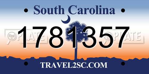 1781357 South Carolina License Plate
