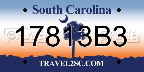 17813B3 South Carolina License Plate