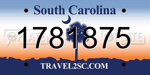 1781875 South Carolina License Plate