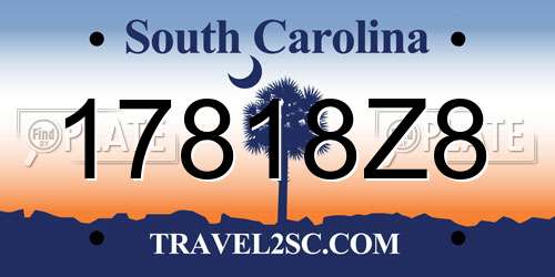 17818Z8 South Carolina License Plate