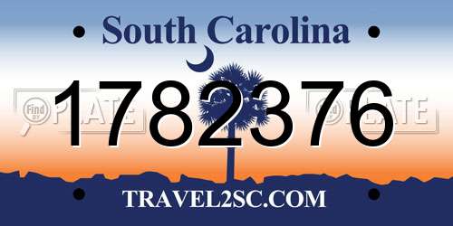 1782376 South Carolina License Plate