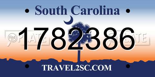 1782386 South Carolina License Plate