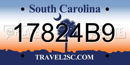 17824B9 South Carolina License Plate