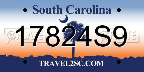 17824S9 South Carolina License Plate