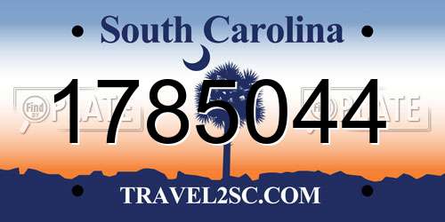 1785044 South Carolina License Plate