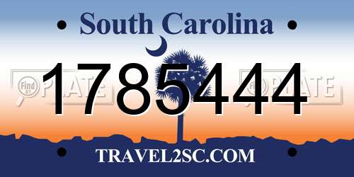 1785444 South Carolina License Plate