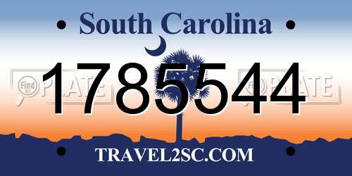 1785544 South Carolina License Plate