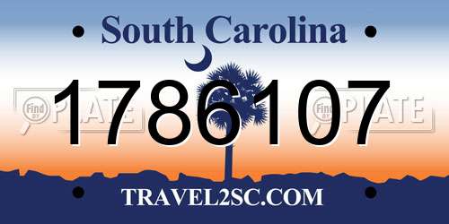1786107 South Carolina License Plate