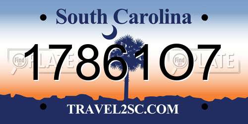 17861O7 South Carolina License Plate