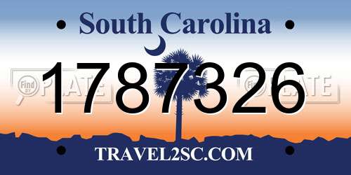 1787326 South Carolina License Plate