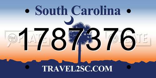 1787376 South Carolina License Plate